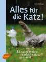 Heike Grotegut: Alles für die Katz!, Buch