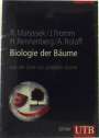 Rainer Matyssek: Biologie der Bäume, Buch