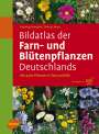 Henning Haeupler: Bildatlas der Farn- und Blütenpflanzen Deutschlands, Buch