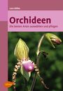 Lutz Röllke: Orchideen, Buch