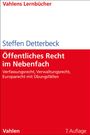 Steffen Detterbeck: Öffentliches Recht im Nebenfach, Buch