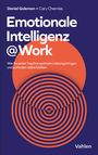 Daniel Goleman: Emotionale Intelligenz @ Work, Buch