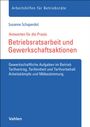 Susanne Schaperdot: Betriebsratsarbeit und Gewerkschaftsaktionen, Buch