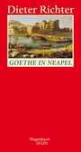 Dieter Richter: Goethe in Neapel, Buch