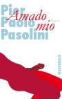 Pier Paolo Pasolini: Amado mio, Buch