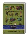Danilo Promotion Ltd: Harry Potter - A5-Tischkalender 2026, KAL