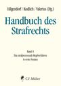 : Handbuch des Strafrechts 08, Buch