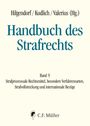 : Handbuch des Strafrechts Band 09, Buch