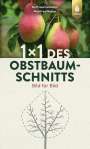 Rolf Heinzelmann: 1 x 1 des Obstbaumschnitts, Buch