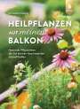 Christina Freiberg: Heilpflanzen auf meinem Balkon, Buch
