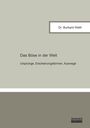 Burkard Weth: Das Böse in der Welt, Buch