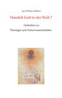 Jan Willem Siebers: Handelt Gott in der Welt?, Buch