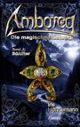 Iris Hennemann: Amboreg - Die magische Rüstung, Buch