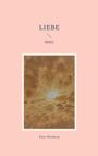 Klaus Blumberg: Liebe, Buch