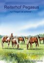 Ursula Zebunke: Reiterhof Pegasus, Buch