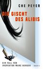 Che Peyer: Die Gischt des Alibis, Buch