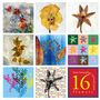 Franz Hümpfner: 16 Artworks - Flowers, Buch