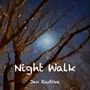 Jan Radtke: Night Walk, Buch