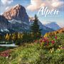 Text: „Alpen, Alps 2027“. Eine malerische Berglandschaft mit blühenden Wiesen und majestätischen Bergen im Hintergrund.