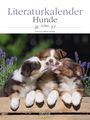 "Literaturkalender Hunde 2027, 53 Blatt, Fotos von Sabine Stuewer". Drei Hundewelpen lecken sich liebevoll.