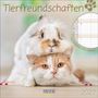 "Tierfreundschaften", "Familienplaner mit 6 Spalten", 2027. Oben ein Hase auf dem Kopf einer Katze.
