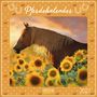 „Pferdekalender 2027“. Ein braunes Pferd steht in einem Feld voller Sonnenblumen bei Sonnenuntergang.