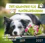 "Der Kalender für Hundeliebhaber". Ein Hund liegt neben Blumen, darunter der Text: Ein Leben ohne Hund ist möglich, … aber sinnlos! 2027.