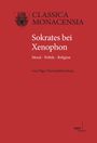 Olga Chernyakhovskaya: Sokrates bei Xenophon, Buch