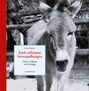 Ulrich Meier: Esels seltsame Verwandlungen, Buch