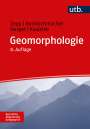 Harald Zepp: Geomorphologie, Buch
