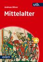 Andreas Bihrer: Mittelalter, Buch