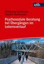 Text oben: Wolfgang Beelmann, Marion Muthmann. Titel: Psychosoziale Beratung bei Übergängen im Lebensverlauf. Darunter eine Brücke mit Gehenden.