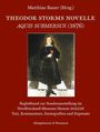 : Theodor Storms Novelle Aquis submersus (1876), Buch
