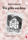 Jürgen Schmid: Wie gehts uns denn, Buch