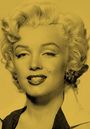 Marilyn Monroe: Silver Marilyn. Marilyn Monroe und die Kamera, Buch