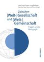 : Zwischen (Welt-)Gesellschaft und (Welt-)Gemeinschaft, Buch