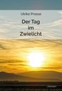 Ulrike Prasse: Der Tag im Zwielicht, Buch