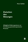 "Zwischen den Sitzungen" von Peter Geißler. Thema: Alltägliche Erfahrungsräume in der Psychotherapie. Dunkelgrüner Hintergrund.