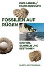 "Fossilien auf Rügen" von Uwe Kankel und Frank Rudolph. Oben Fossilien und Kreideküste, unten Meeresstrand.