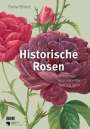 Sofia Blind: Historische Rosen, Buch