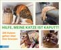 : Hilfe, meine Katze ist kaputt, Buch