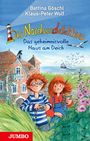 Klaus-Peter Wolf: Die Nordseedetektive (01). Das geheimnisvolle Haus am Deich, Buch