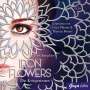 Tracy Banghart: Iron Flowers 2. Die Kriegerinnen, CD,CD,CD,CD