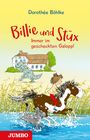 Dorothée Böhlke: Billie und Stüx. Immer im gescheckten Galopp!, Buch