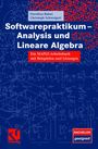 Dorothea Bahns: Softwarepraktikum - Analysis und Lineare Algebra, Buch
