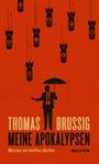 Thomas Brussig: Meine Apokalypsen, Buch