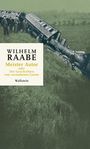Wilhelm Raabe: Meister Autor, Buch