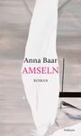 "Anna Baar AMSELN ROMAN" steht auf einem abstrakten Hintergrund in hellen Farben mit schwarzem Balken unten.