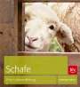 Gunthild Kupitz: Schafe, Buch