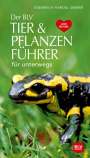 Wilhelm Eisenreich: Der BLV Tier & Pflanzenführer, Buch